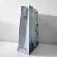 【百年限定款】百年屏科手提紙袋35cm