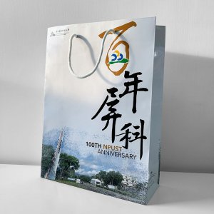 【百年限定款】百年屏科手提紙袋35cm